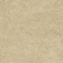 Линолеум Marmoleum Real 3249 Forbo